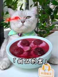 猫王：这么贵的荔枝王，做成冰点杨梅荔枝一定很好吃！