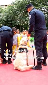 警犬进幼儿园被萌娃包围。警犬：如何有效防止被摸秃？