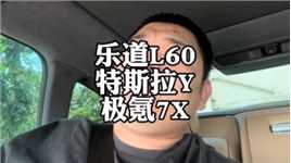 乐道L60来了，20-30万区间SUV，天要塌了吗？