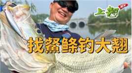 蓝旗鱼路亚 | 找䱗鲦钓大翘，常德的柳叶湖巨物横行，开放钓鱼！