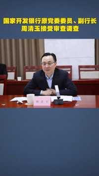 国家开发银行原党委委员、副行长周清玉接受审查调查
