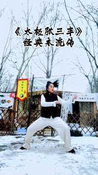 春节快到了，给大家展示一段雪中太极拳，希望大家支持中华武术