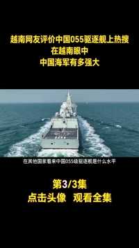 越南网友敢轻视中国武器，称055驱逐舰为海上“纸老虎”？