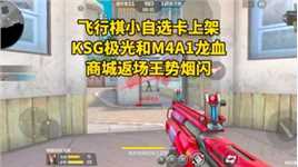 飞行棋小自选卡上架KSG极光和M4A1龙血，商城返场王势烟闪