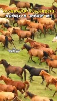 12万亩牧场开放！ 2万头只牲畜转场 开启为期3个月“夏季度假”模式#这里是北疆活力内蒙古 
（来源：奔腾融媒）
