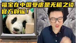官方辟谣！大熊猫福宝在中国受虐是无稽之谈！