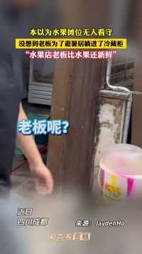 本以为水果摊位无人看守，没想到老板为了避暑居躺进了冷藏柜，“水果店老板比水果还新鲜”