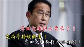 支持率低迷，日本首相岸田文雄称将改组内阁