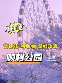 清明假期来顾村公园赏樱花，公园+东方鸟世界门票49.9#上海遛娃好去处 #上海周末去哪儿 #亲子游玩好去处 #周末去哪儿