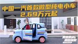 中国一汽首款微型纯电小车上市2.69万元起