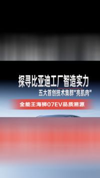 探寻比亚迪工厂智造实力，五大首创技术集群“亮肌肉”