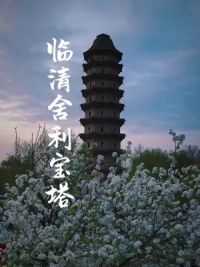 临清舍利宝塔，历经四百年风雨，京杭运河四大名塔之一。