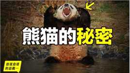 熊猫：真实存在的上古恐惧，为什么只有人类觉得大熊猫很可爱？