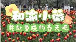 春风送暖，繁花似锦；这个春天，记得和小薇共赴重大校园，体验春日的暖阳与芬芳哦～#重庆大学 #春暖花开 