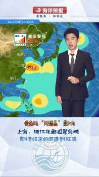 今年第13号台风“贝碧嘉”正严重影响东海，掀起了狂涛巨浪，上海、浙江北部近岸海域也将出现4到6米的巨浪到狂浪，为此国家海洋预报台发布海浪红色警报。同时江苏盐城至浙江宁波沿海将出现明显的风暴潮，部分岸段的风暴增水可达2米以上，由于临近中秋，沿海天文潮较高，再叠加风暴增水，15号夜间，上海和浙江宁波的沿海潮位将超过黄色警戒位，请大家及时做好防潮避浪准备。