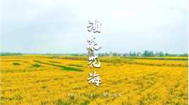 春光无限好！油菜花海盛开的季节，一起去赴一场春天的约#安徽芜湖 #美好安徽dou起来 #感受大自然的气息和美景