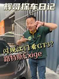 自动挡玩腻了要换手动？看看路特斯Exige车主怎么说！