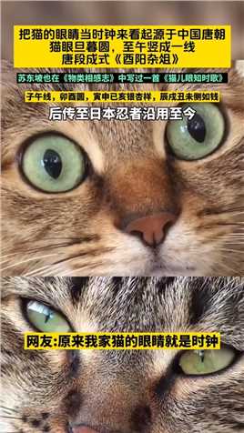 把猫的眼睛当时钟来看起源于中国唐朝猫眼旦暮圆,至午竖成一线唐段成式《酉阳杂俎》