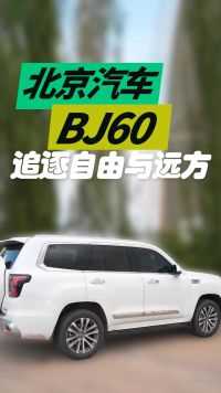 追逐自由与远方 北京汽车BJ60绝对是不二车搭子！