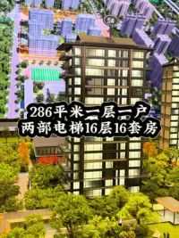 滨河国际新城顶级改善 一层一户，两梯一户，小区只有这一栋楼这栋楼一共16层，286平只有16户