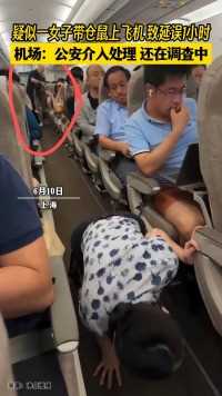 上海一女子带仓鼠上飞机，致延误1小时。机场：公安介入处理，还在调查中。
