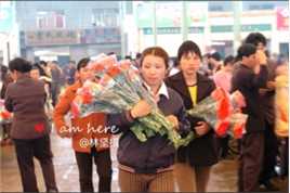呈贡斗南2004年花卉市场的影像