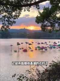 已经开始期待西湖的花灯了#惠州春节打卡攻略 #惠州西湖 #春节去哪玩 #惠州旅游攻略