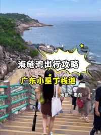 过年总要来一趟海边吧，海龟湾真的太美了～#惠州春节打卡攻略 #春节去哪玩 #惠州旅游攻略