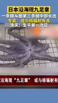 日本沿海发现九足章鱼，专家：或与核辐射有关