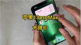 苹果13pro Max，成色99新电池100，充电85次