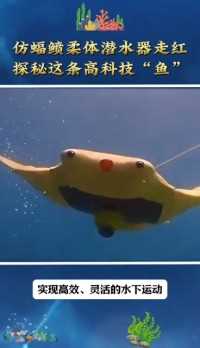 仿蝠鲼柔体潜水器走红：探秘这条高科技“鱼”
