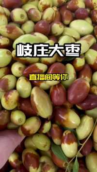 吃大枣啦！北京本地特产，应季水果枣！    