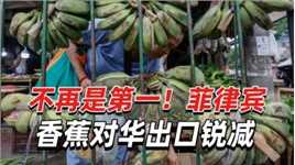 不再是第一！菲律宾香蕉对华出口锐减，越南成中国最大来源国