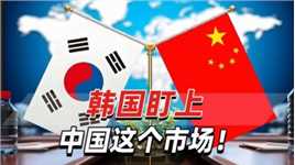 韩国盯上中国这个市场！韩媒：韩企突围需瞄准高端市场布局