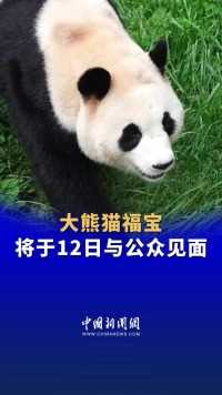 大熊猫#福宝将于12日与公众见面