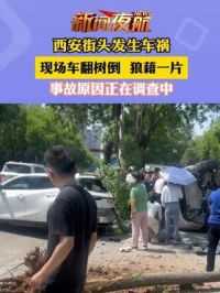 4月28日陕西·西安街头发生车祸，现场车翻树倒 狼藉一片，事故原因正在调查中。