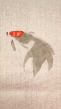 红帽金鱼画法