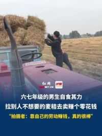 6月7日，河南安阳，六七年级的男生自食其力，拉别人不想要的麦秸去卖赚个零花钱，“拍摄者：靠自己的劳动赚钱，真的很棒”。