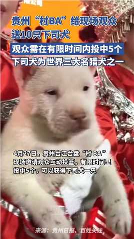 贵州“村BA”给现场观众送出10只下司犬，为世界三大名猎犬之一，现场观众排队投篮