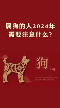 属狗的人2024年要注意什么