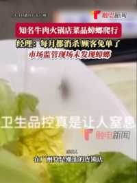 5月21日播出，广东广州，#网友称就餐时在菜碗中发现蟑螂 店家：每月都消杀，顾客免单了！市场监管到场后检查未发现蟑螂。