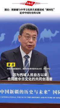 潘岳：把新疆与中华文化的关系描述成“被同化”是对中国历史的无知