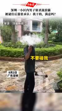 8月2日，广东深圳。一小区内男子射杀流浪猫，被逮住后嚣张承认：“我干的，满意吗？”你怎么看这种行为？