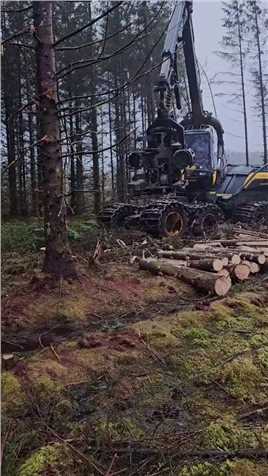 林业机械
