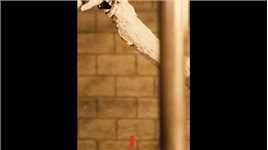 《力王》1/3男子暴力血洗私人监房。没想到暴力的背后竟隐藏着温馨的故事！#力王#经典港片