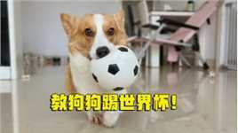 会说话的狗狗，教狗狗踢足球，狗狗居然还会说好玩！