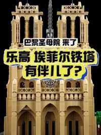 4300+零件的#乐高 21061 #巴黎圣母院 来了！#乐高埃菲尔铁塔 有伴儿了？ #乐高巴黎圣母院