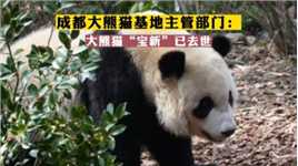 国宝大熊猫“宝新”已经去世