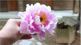 用纸巾做一朵美丽的牡丹花，简单好看