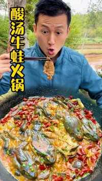 _用人工养殖牛蛙做一道贵州特色美食，酸汤火锅吃起来酸辣鲜香太好吃了